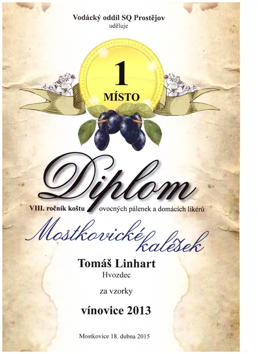 Diplom: 2015 Vínovice