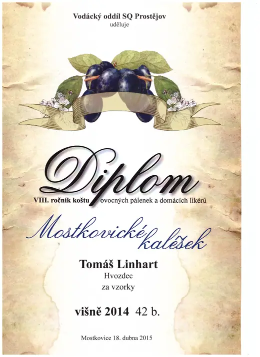 Diplom: 2015 Višňovice